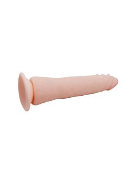 Baile - Fit Realistic Tpr Vertebrate 20.1 CM