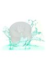 California Exotics - Anello Fallico in Silicone Trasparente