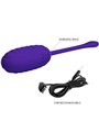 Pretty Love - Kirk Rechargeable Vibrating Egg Purple