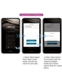 Pretty Love Elvira - Palle di Kegel Vibranti Controllabile Da App