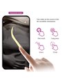 Pretty Love Abner - Ovetto Vibrante Viola Controllabile Da App