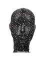 Radiance - Full Hoode Cover Rhine