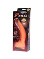 Baile - Penis Vibration Dildo with Vibration Realistic Sensation