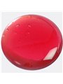 Secretplay - Lubrificante Monodose alla Fragola Effetto Calore 2 ML