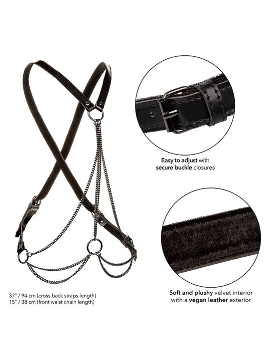 Calexotics - Euphoria Multichain Harness Premium