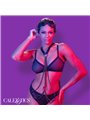 Calexotics - Euphoria Multichain Harness Premium