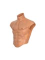Hidden Desire Alter Ego - Torso Maschile Realistico Indossabile