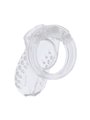 Hidden Desire - Extreme Chastity Cock Cage Acrylic Adjustable Clear