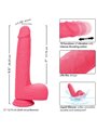 Calexotics Studs - Vibratore Realistico con Testicoli e Ventosa Fucsia