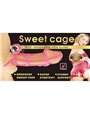 Baile - Gabbia Fallica e Anello in Silicone Vibrante Rosa