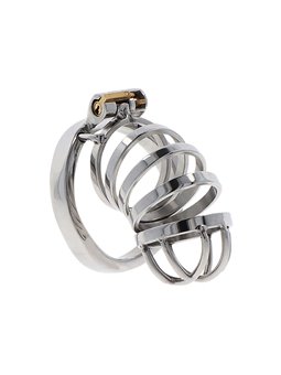 Hidden Desire - Extreme Chastity Cock Cage Metal