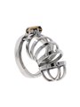 Hidden Desire - Extreme Chastity Cock Cage Metal
