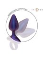 Intense - Michael Vibrating Anal Plug Model 2 Remote Control