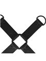 Intense - Fetish Hog Tie