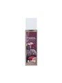 Burn Passion - Profumo ai Feromoni per Donna 20 ML