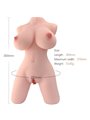Armony Realistic Male Masturbator Female Torso Model 5