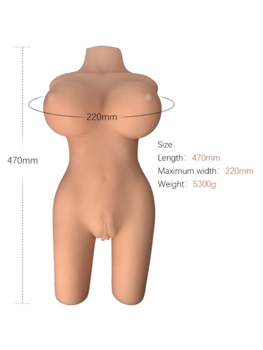 Armony Realistic Male Masturbator Female Torso Model 6