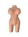 Armony Realistic Male Masturbator Female Torso Model 6