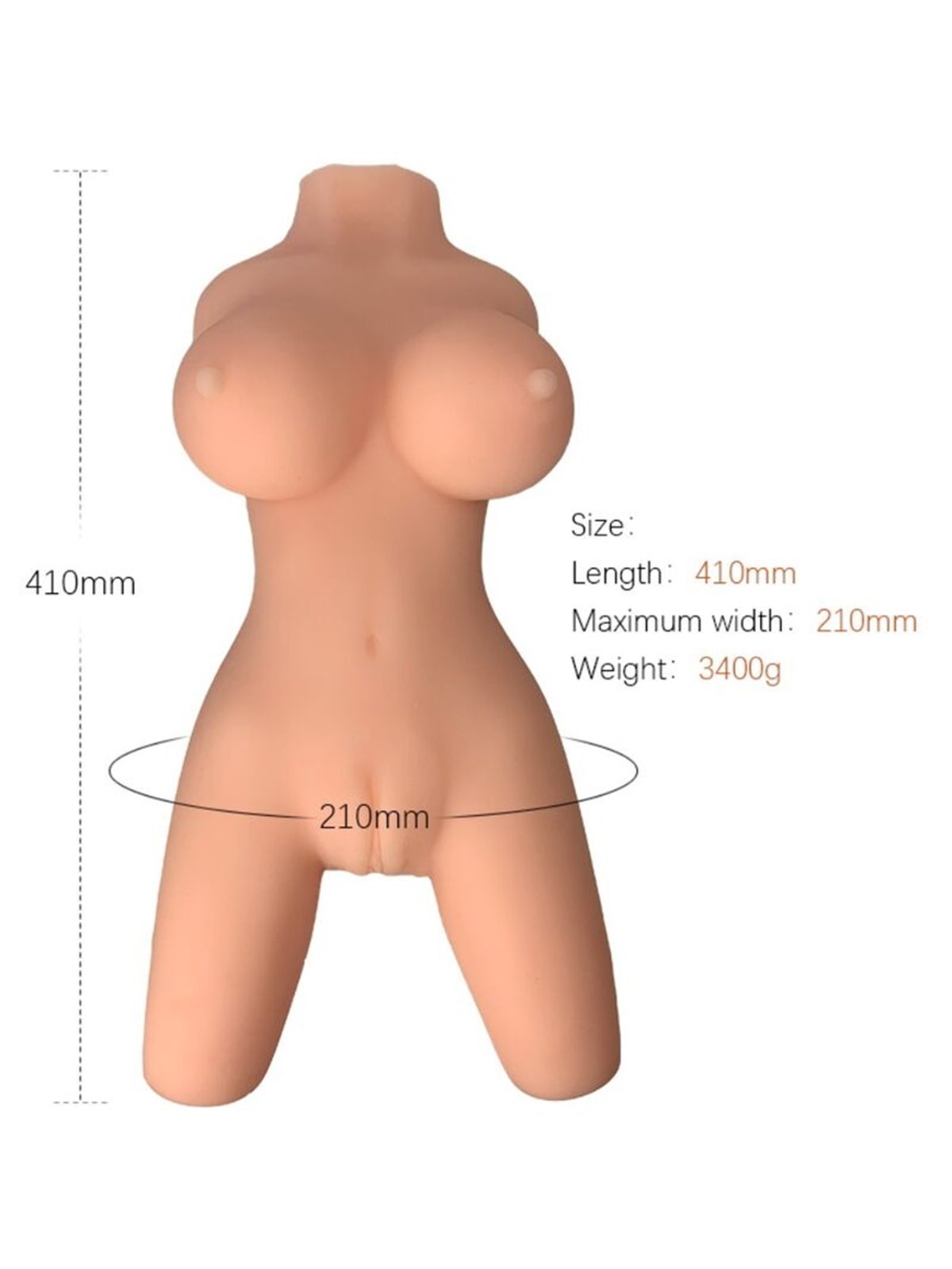 Armony Realistic Male Masturbator Female Torso Model 8