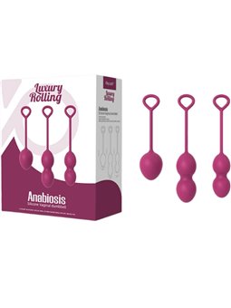Armony Anabiosis - Sfere Vaginali Palline di Kegel 3 Livelli Bordeaux