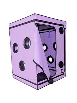 Secret Dome Kink Club Scandale - Purple Bukkake Booth