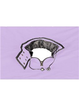 Secret Dome Kink Club Scandale - Purple Bukkake Booth