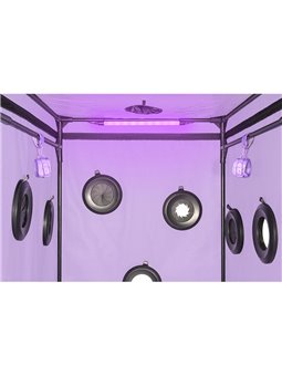 Secret Dome Kink Club Scandale - Cabina Bukkake Viola