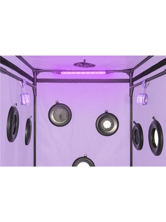 Secret Dome Kink Club Scandale - Purple Bukkake Booth