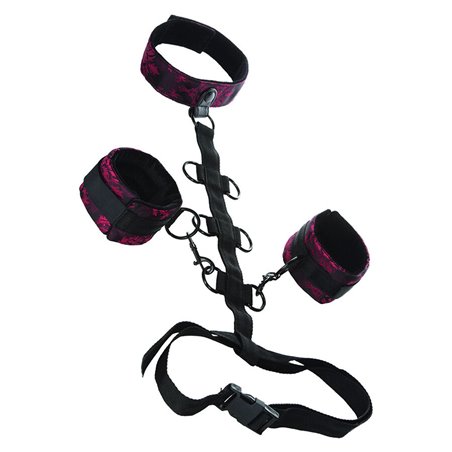 Calexotics Scandal - Costrittivo Bondage con Collare e Polsiere