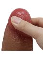 Pretty Love Achille - Realistic Dildo with Balls and Suction Cup 22 cm