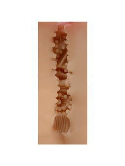 Shequ Maud - Masturbatore Maschile Vagina Realistica in Silicone
