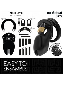 Addicted Toys Locked Forbidden Vault - Phallic Cage with Padlocks