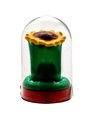 Condomerie - Hand-Painted Condom Sunflower Model