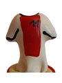 Condomerie - Preservativo Dipinto a Mano Modello Maglia Ajax
