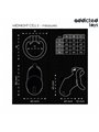Addicted Toys Locked Mindnight Cell S - Gabbia Fallica con Serratura