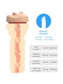 Kiiroo - Power Blow + Feel Mouth Stroker Male Masturbator