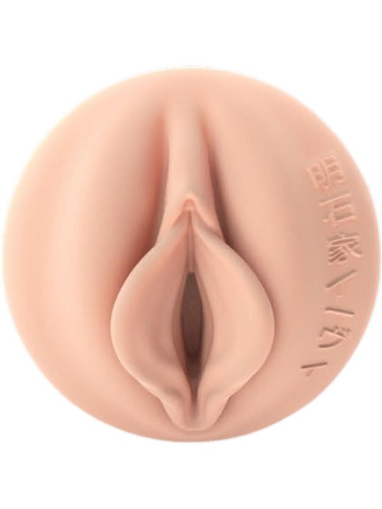 Fleshlight Fantasy - Evie Akashiya Vagina Masturbator for Men