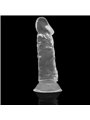 XRay Clear Dildos - Dildo Realistico in Silicone Trasparente 16,5x4 Cm