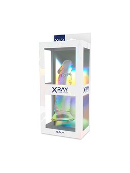 XRay Clear Dildos - Realistic Transparent Silicone Dildo 16.5x4 cm