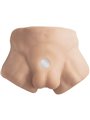 Silexd - Apollo S Realistic Male Lower Torso