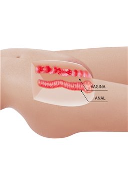 Crazy Bull Mia - Torso Femminile con Ano e Vagina Realistici 8,5 Kg