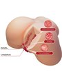 Crazy Bull Olivia - Female Torso with Realistic Anus and Vagina 5.5 kg