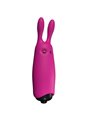 Adrien Lastic Poket Vibe - Mini Rabbit Vibrator in Pink Silicone
