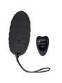 Adrien Lastic Ocean Breeze 2.0 - Black Remote Control Vibrating Egg