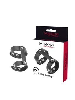 Darkness - Leather Adjustable Penis and Testicle Ring