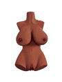 Pdx Plus+ Perfect 10 Torso - Brown