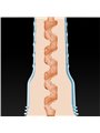 Fleshlight Fantasy - Realistic Silicone Vagina by Lexi Amakura