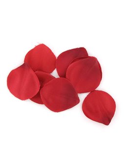 Extase Sensuel - Cofanetto Rouge Tentation Lubrificante Candela Olio Massaggi