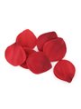 Extase Sensual - Red Temptation Chest