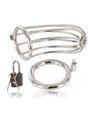 Metal Hard - Bird Chastity Ring Cage